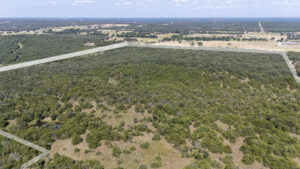 Copy of 27-DJI_20250728161735_0096_D copy